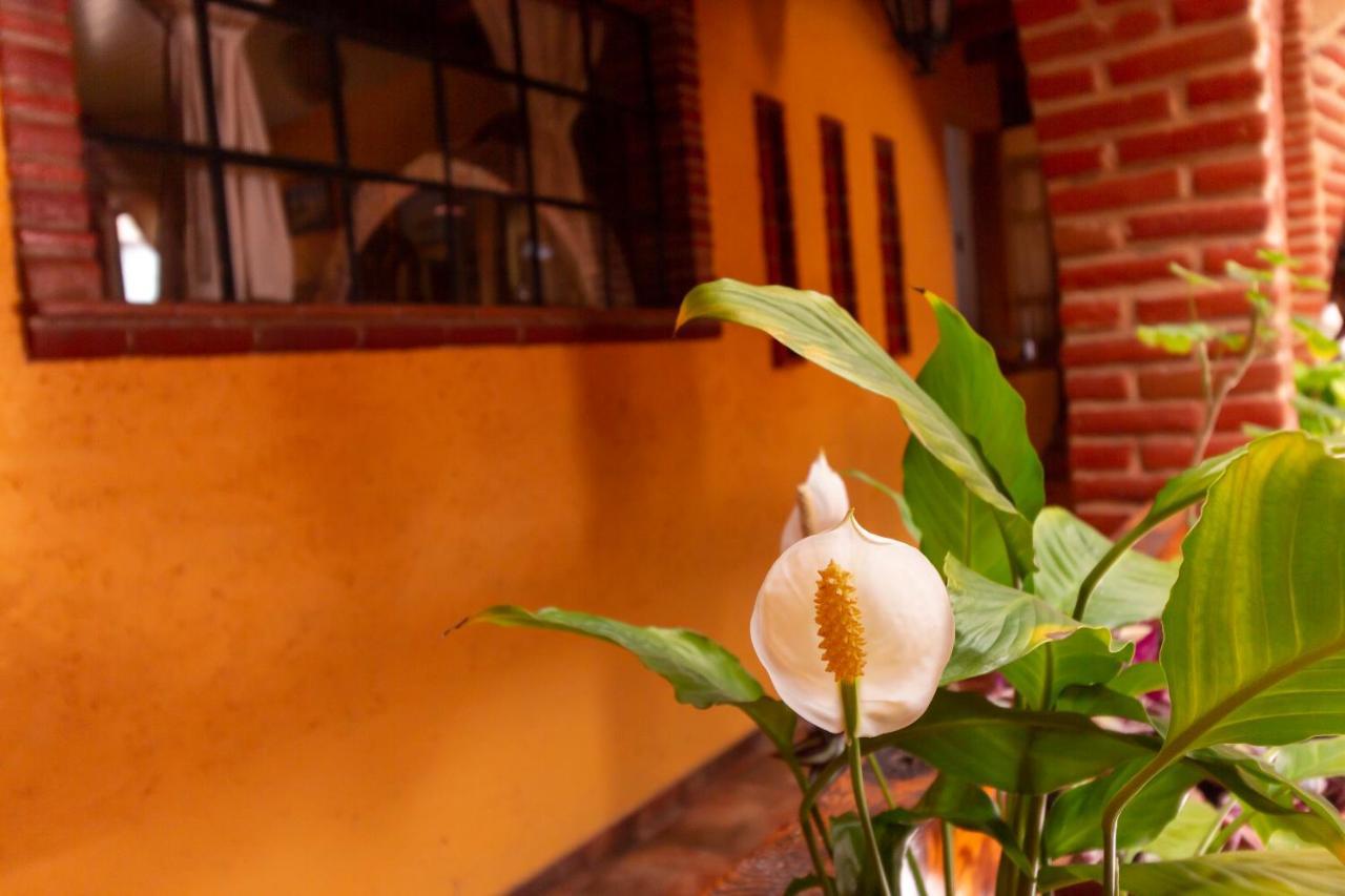 Mex Suites Casa Azul B&B Meksika Dış mekan fotoğraf